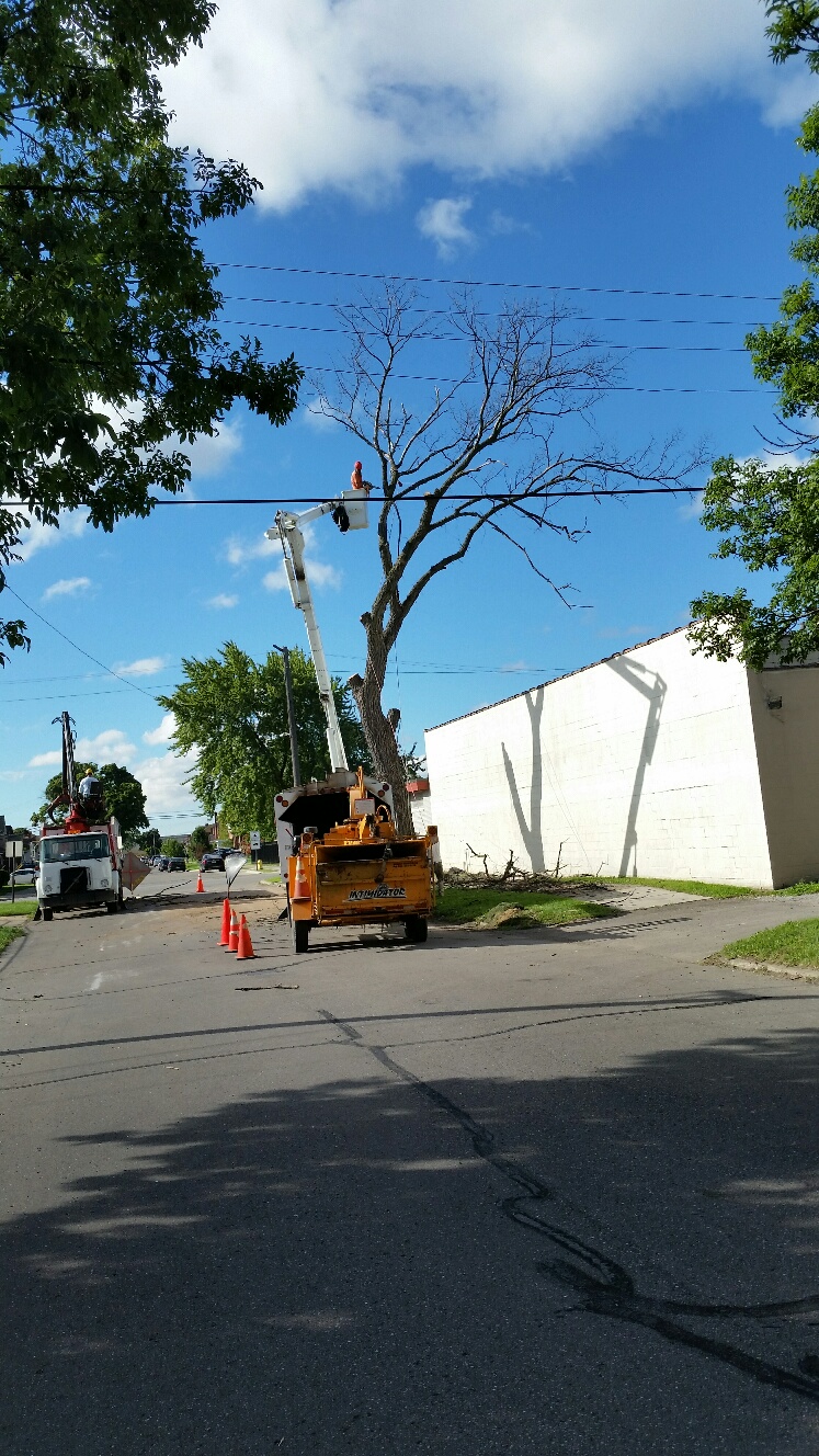 Prescott Tree Service
