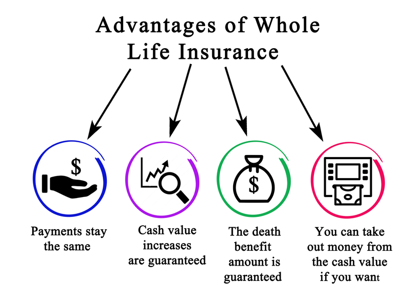 Gainesville Life Insurance Experts
